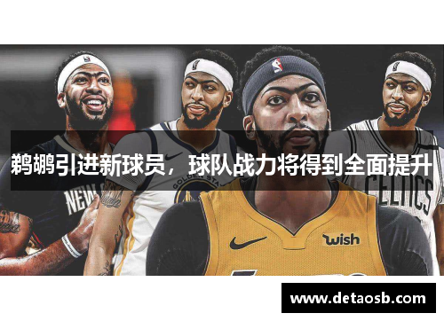 鹈鹕引进新球员，球队战力将得到全面提升