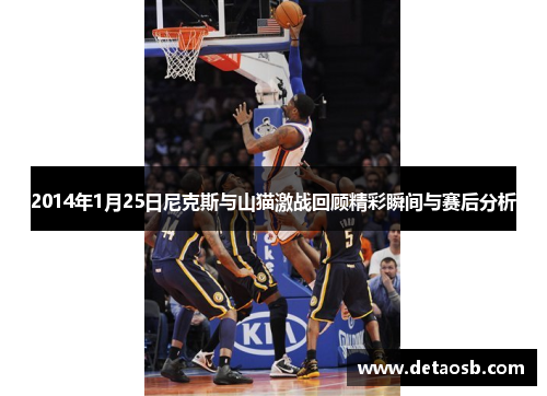 2014年1月25日尼克斯与山猫激战回顾精彩瞬间与赛后分析