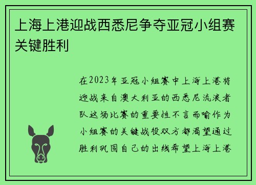 上海上港迎战西悉尼争夺亚冠小组赛关键胜利